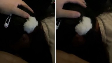 美露脸极品少女洛丽塔『喵喵』户外 01