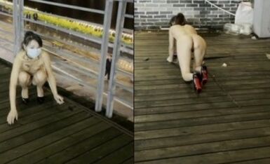 最新流出 最近火爆全网露出狂淫妻『悠悠姐』最新定制-夜色下市区溜母狗